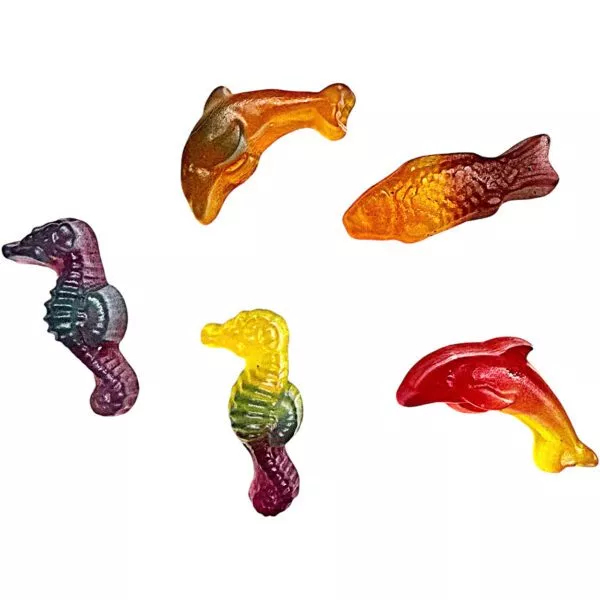 MALACO P&M RAINBOW SEA