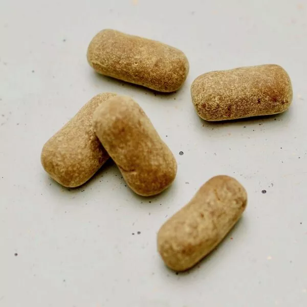 CHOKLAD SKOLKRITA