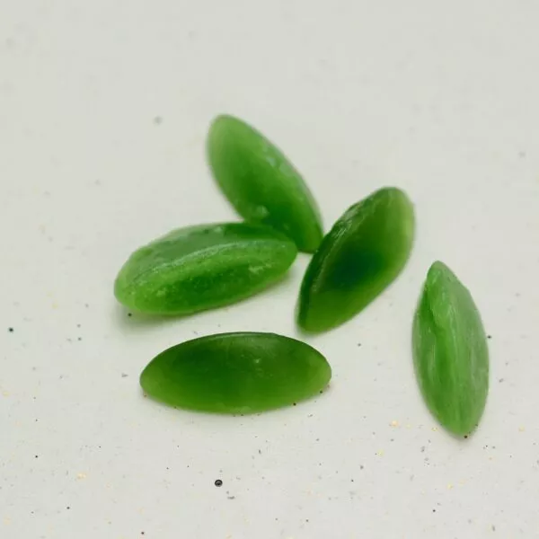 PÄRONBÅTAR