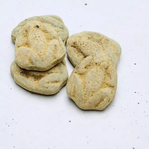 SALTA GRODOR